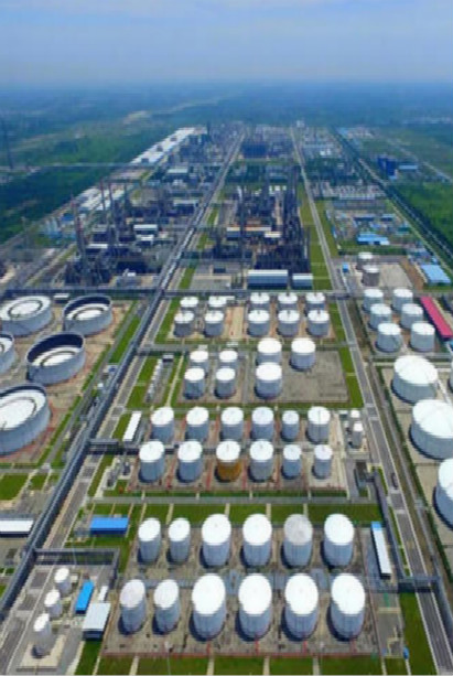 2021���й�������ҵ��ӭ����Ͷ���񳱡���